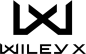WX_logo2