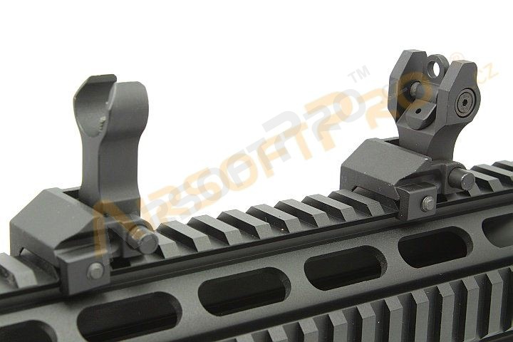 Front & rear folding battlesight [Shooter]